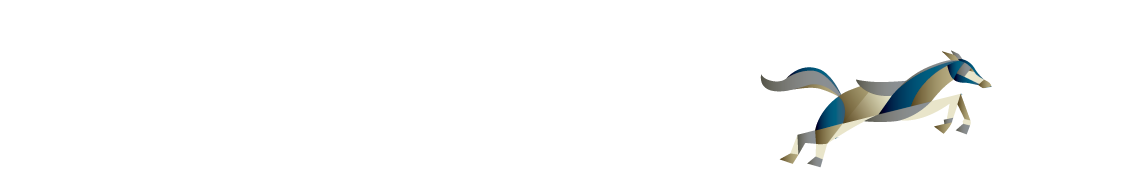 light logo